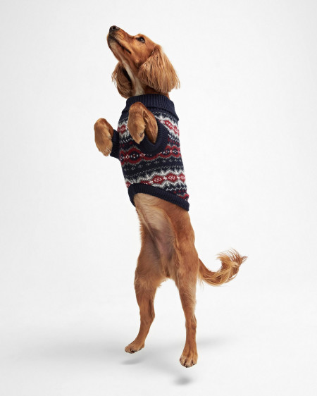 Case Fairisle Dog Jumper