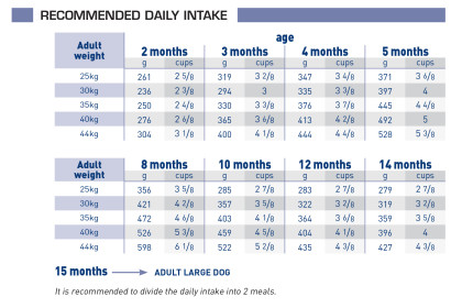 Pediatric junior large dog feeding guide