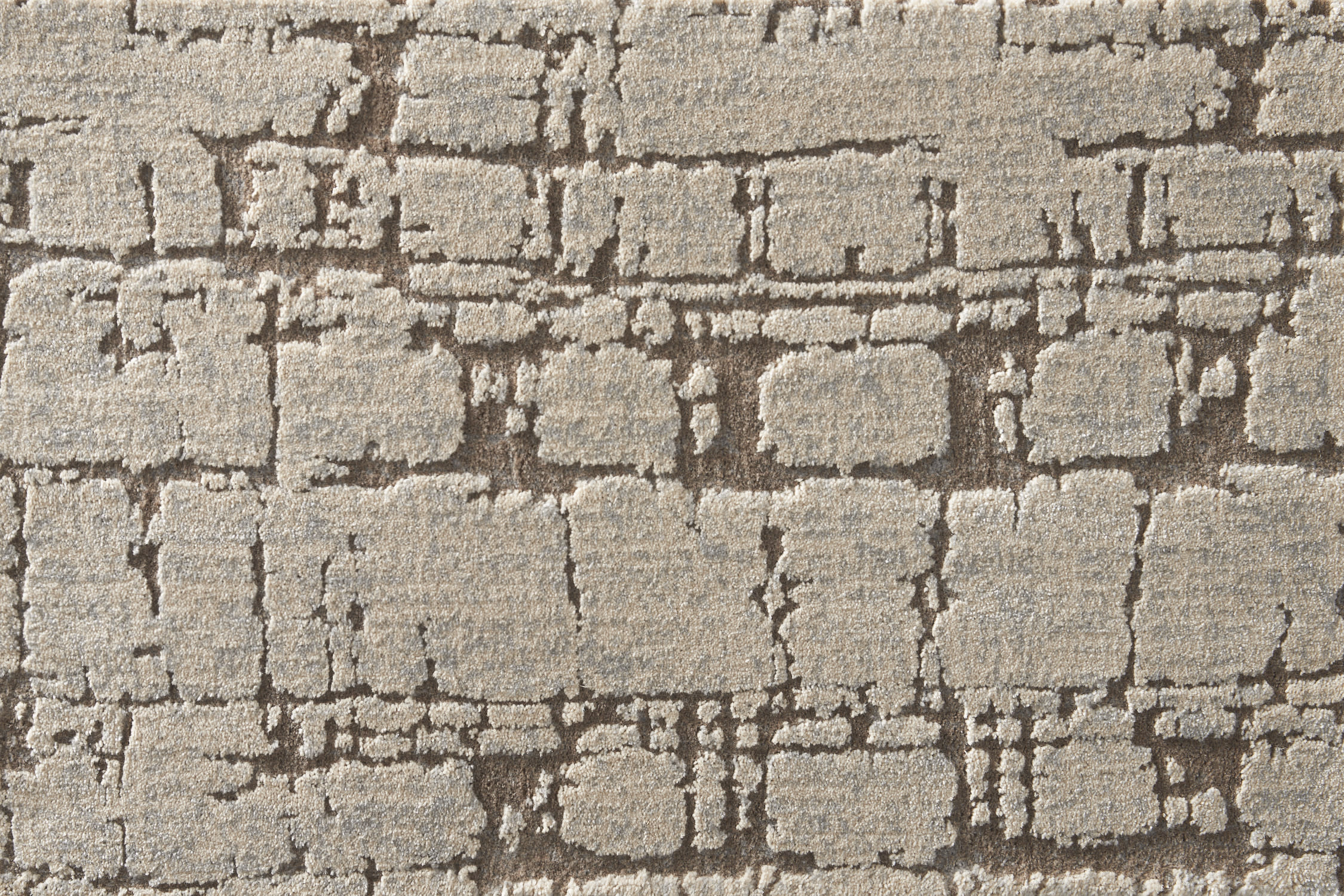 color-rug1