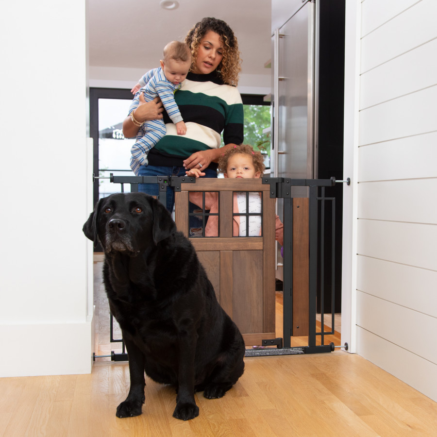 Barn Door Walk-Thru Gate