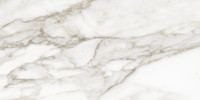 Amica Calacatta 12×24 Field Tile Polished Rectified