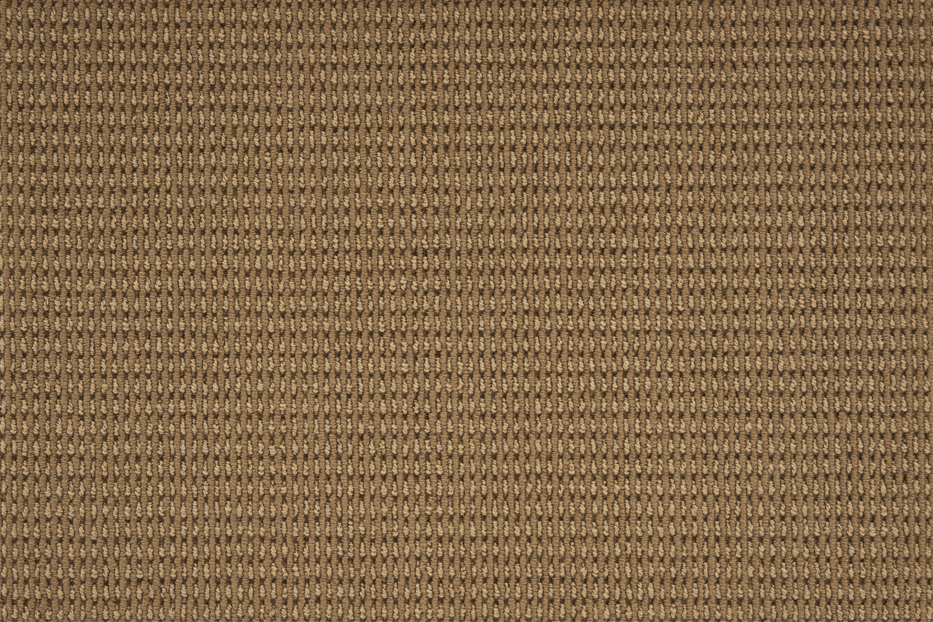 color-rug1