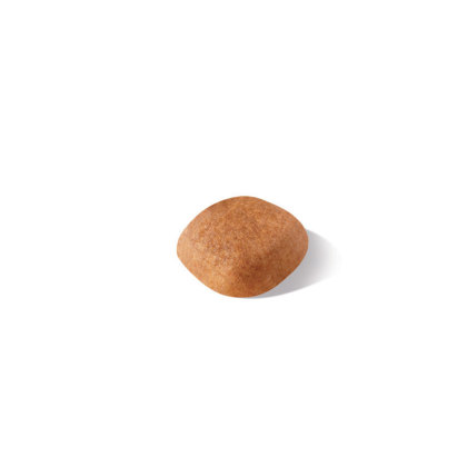 West Highland Terrier Adult kibble