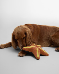 Giocattolo per cani a forma di stella marina 