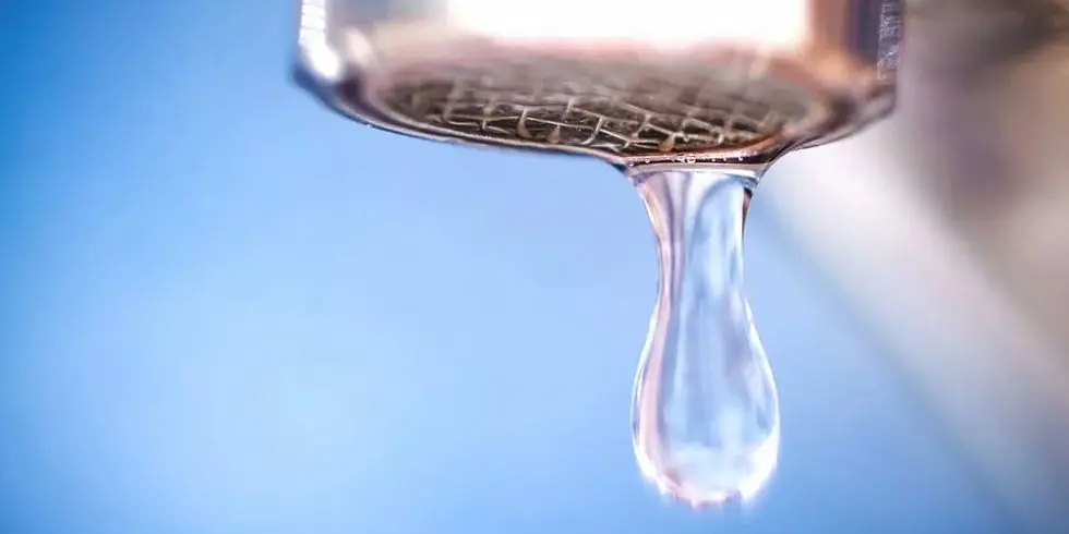 LEAD REMOVAL