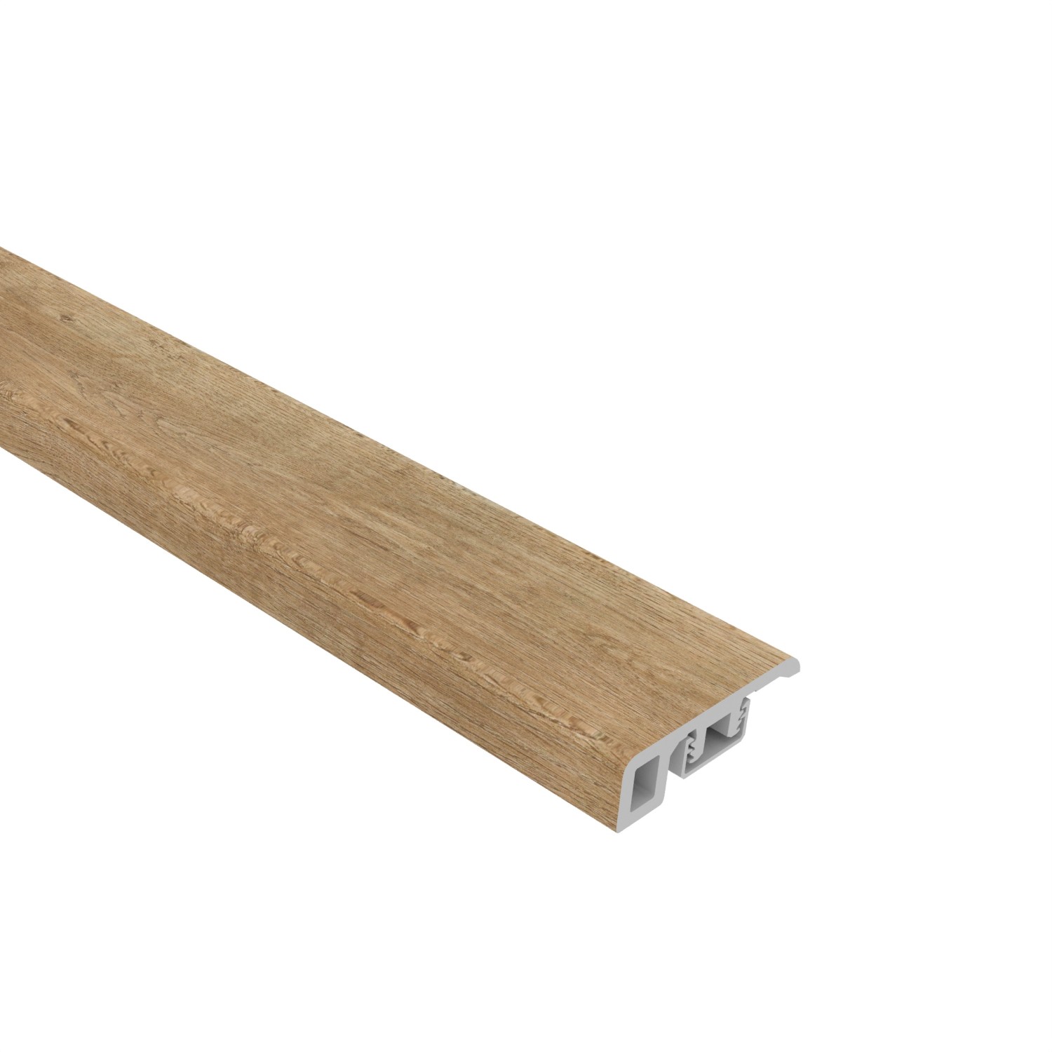 Laguna Sand  Threshold view 1