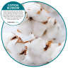 FREEA03606, Fresh Products, Eco-Air, Air Freshener, Cotton Blossom