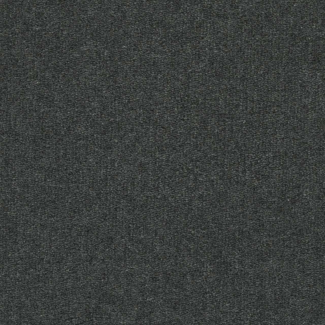 color-rug1