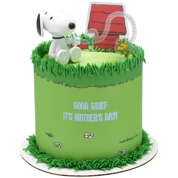 Peanuts® Snoopy® and Woodstock® DecoSet®