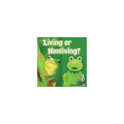 s--3-GHVJJB--/x1r0gq1sv4b81w2vr2px.jpg