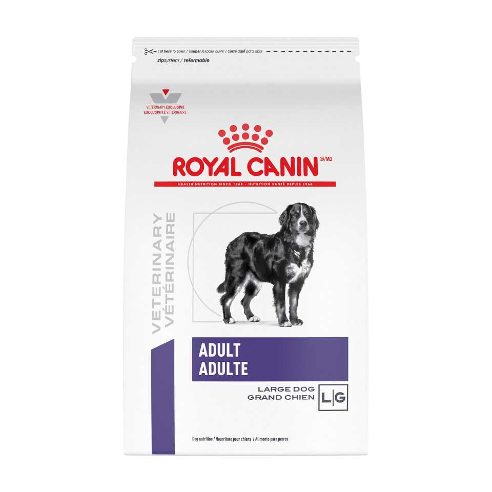 Canine Adult Large Dog Dry Dog Food Royal Canin
