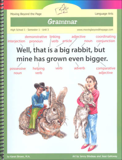 Moving Beyond the Page: Grammar Part 1 Language Arts Unit (High School Semester 1)