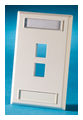 TechChoice® Plastic Faceplate 1-Gang Two Keystone Jack or Module Wiremold Ivory