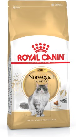 Norwegian Forest