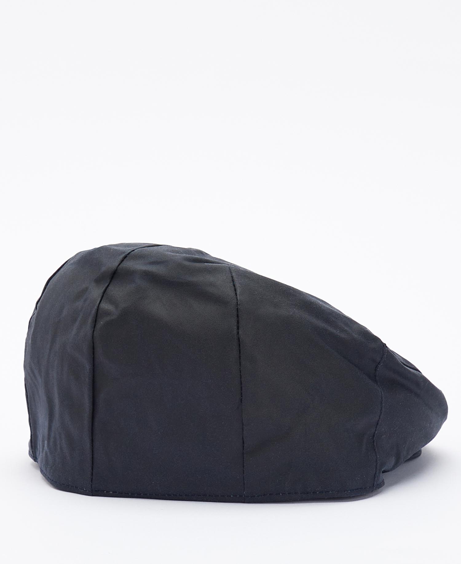 Basco cerato image number 1
