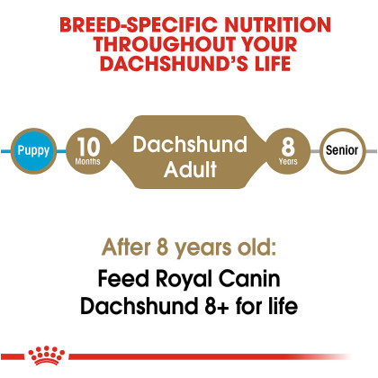 Dachshund Adult Dry Dog Food