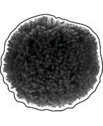 s--3E_Xd4jM--/mm7zifxhg26psk8juwny.jpg