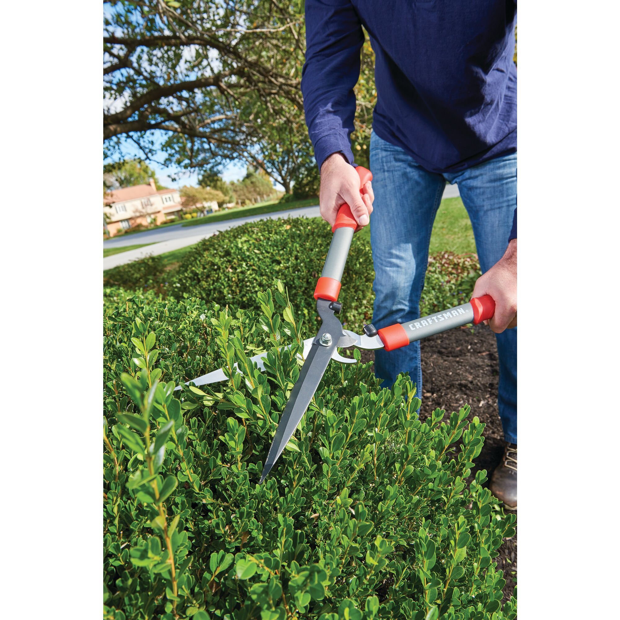 Multi purpose hedge shears being used by a person to trim a hedge.