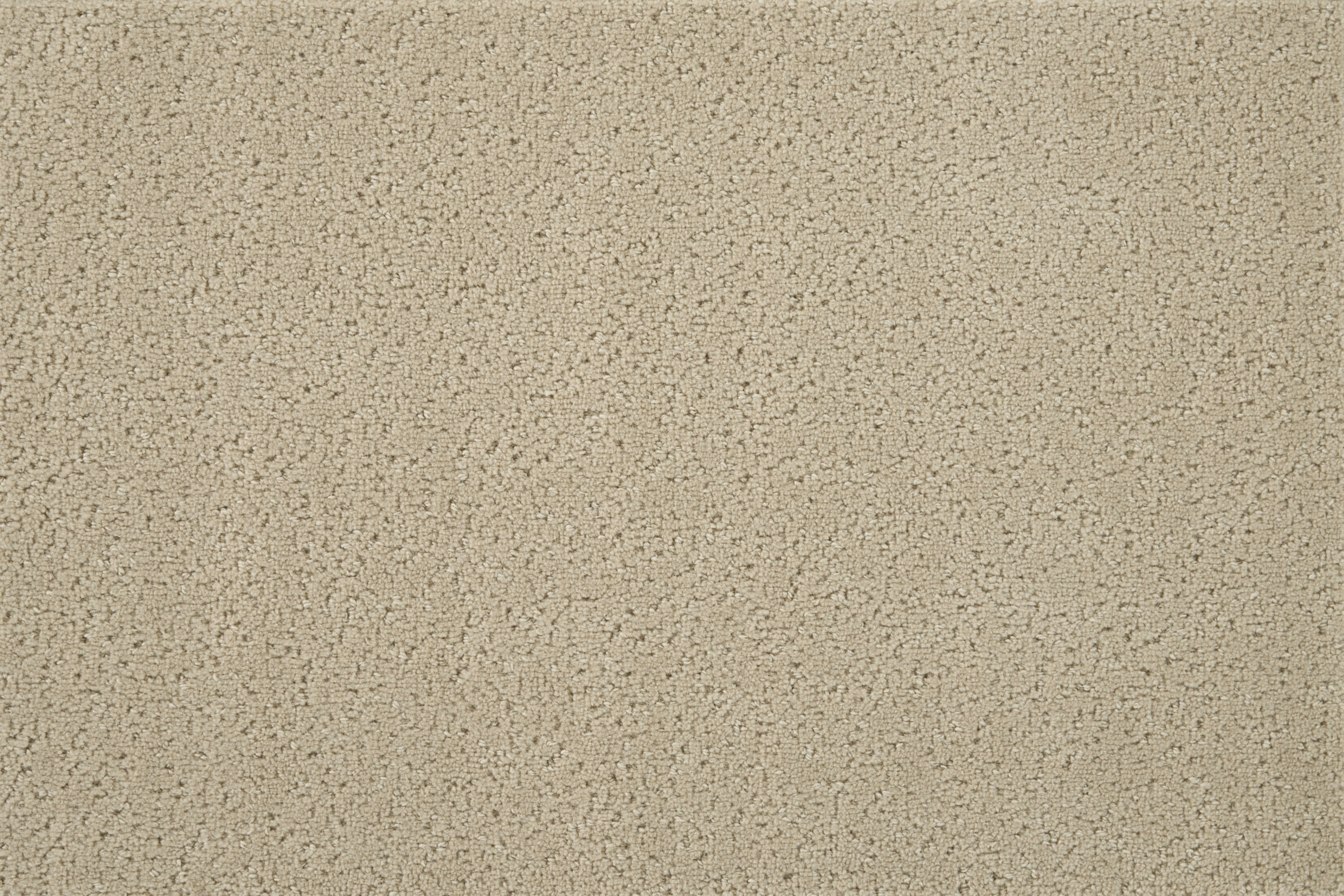 color-rug1