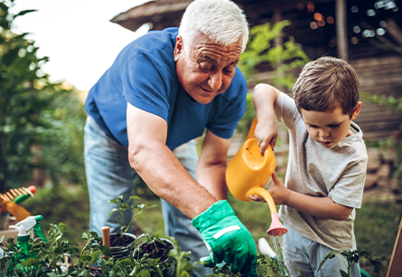 An older man gardening with a young boy.