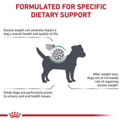 Satiety Support Weight Management Small Dog Dry Dog Food 