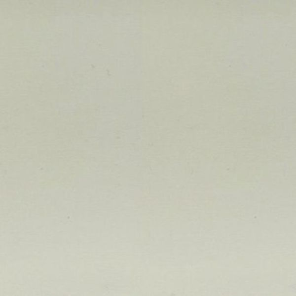 Pale cream textured wall occupying the frame, showing a faint vertical seam and subtle speckling; evenly lit, suggesting soft diffuse lighting in a neutral interior or studio setting.