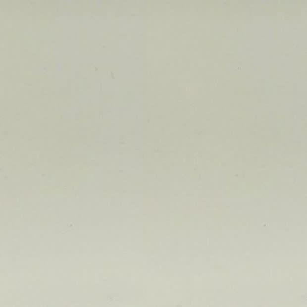 Pale cream textured wall occupying the frame, showing a faint vertical seam and subtle speckling; evenly lit, suggesting soft diffuse lighting in a neutral interior or studio setting.