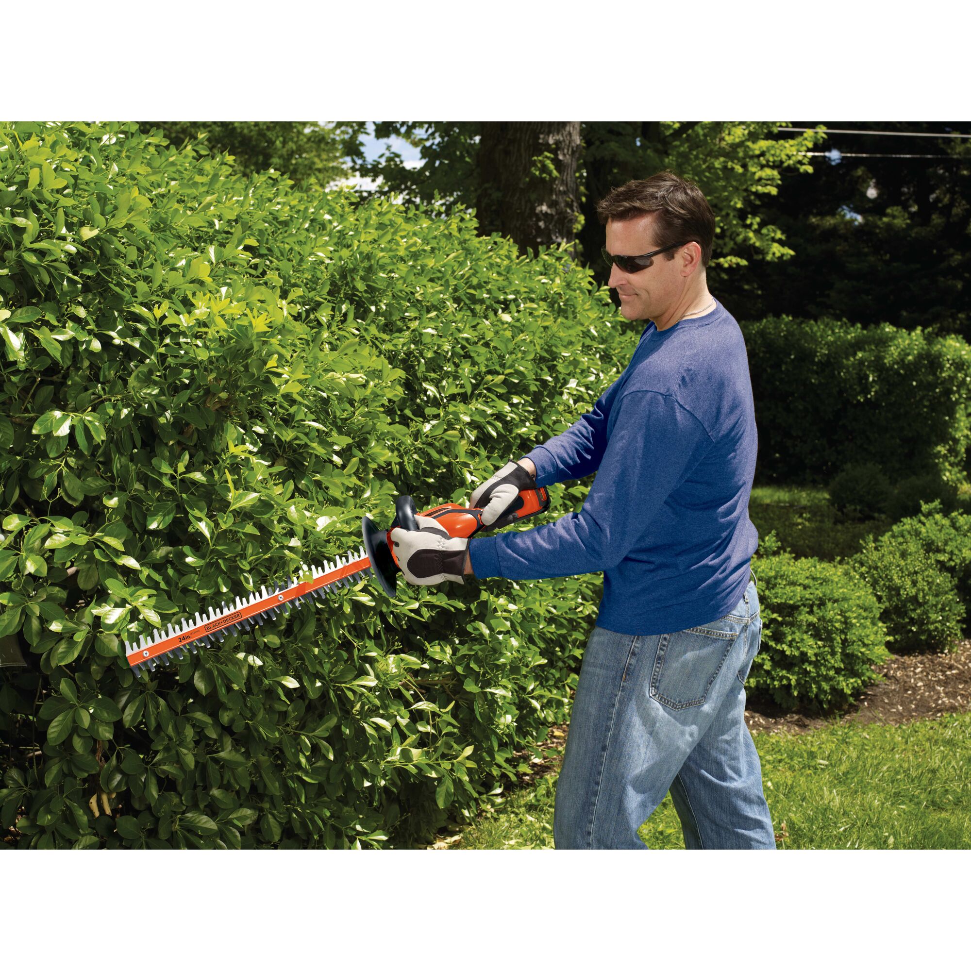 Lithium 24 inch Hedge Trimmer being used by person to trim bushes.