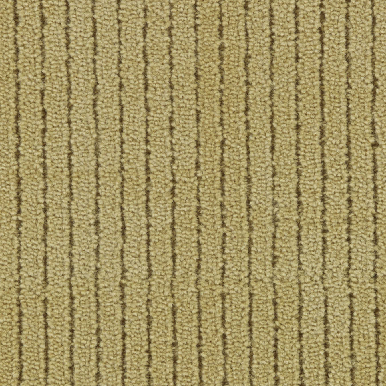color-rug1