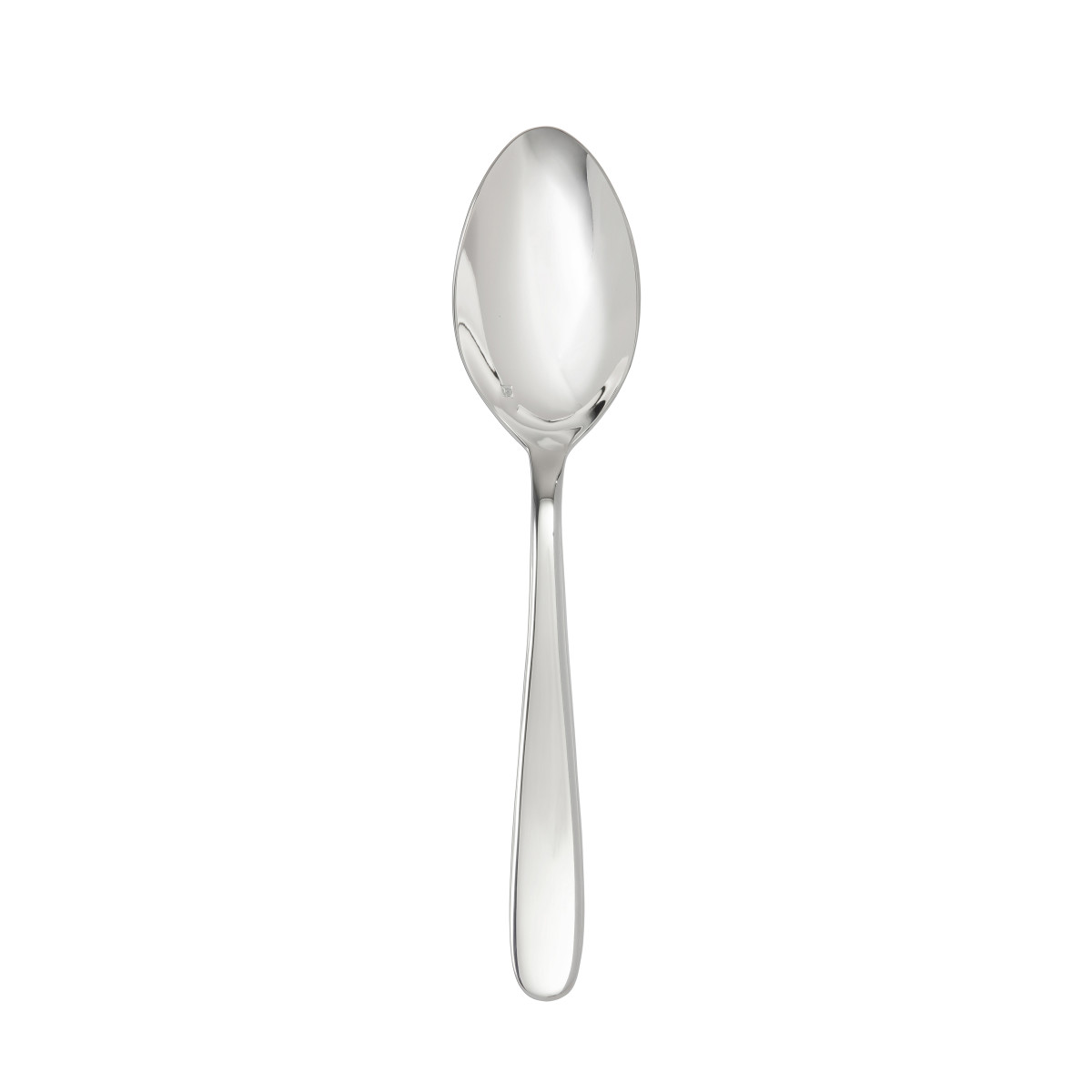 Grand City Serving Spoon 9.25"