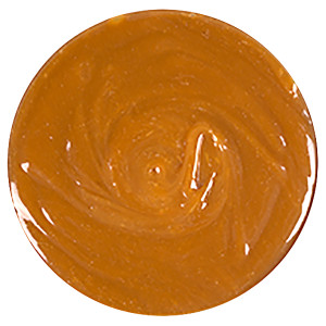 Caramel Sauce - 50 lb Pail image