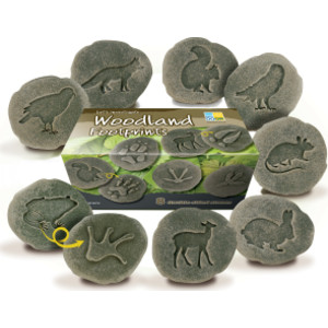 Let's Investigate Woodland Footprint Stones, Set of 8