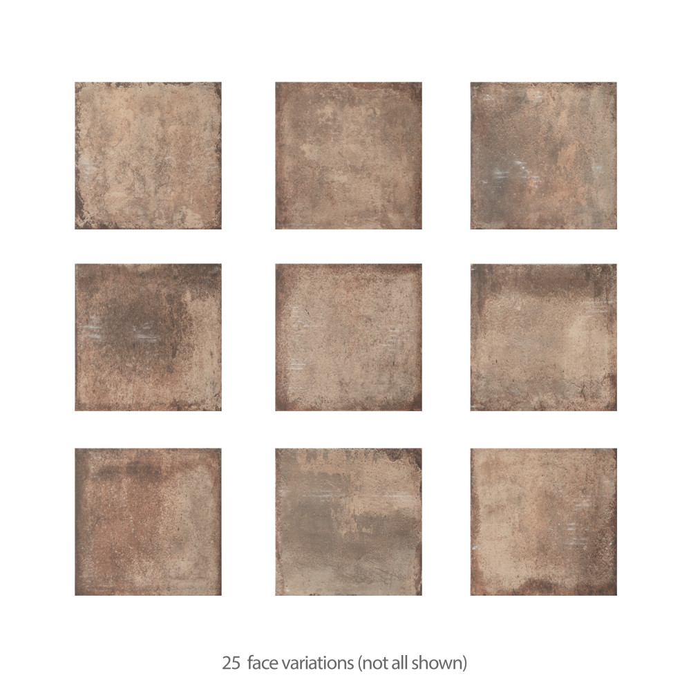 D’Anticatto Marrone 8-3/4 in. x 8-3/4 in. Porcelain Floor and Wall Tile
