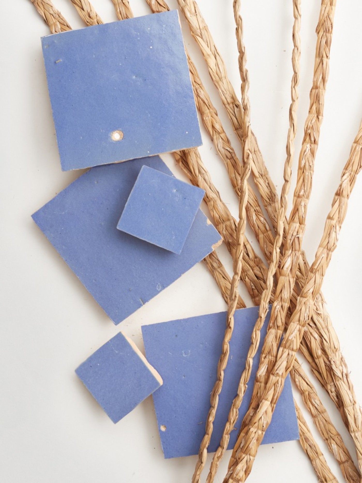 a bunch of blue tiles and dried plants on a white surface.