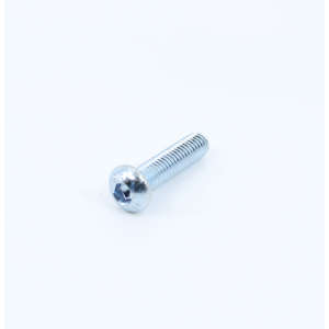 Screw