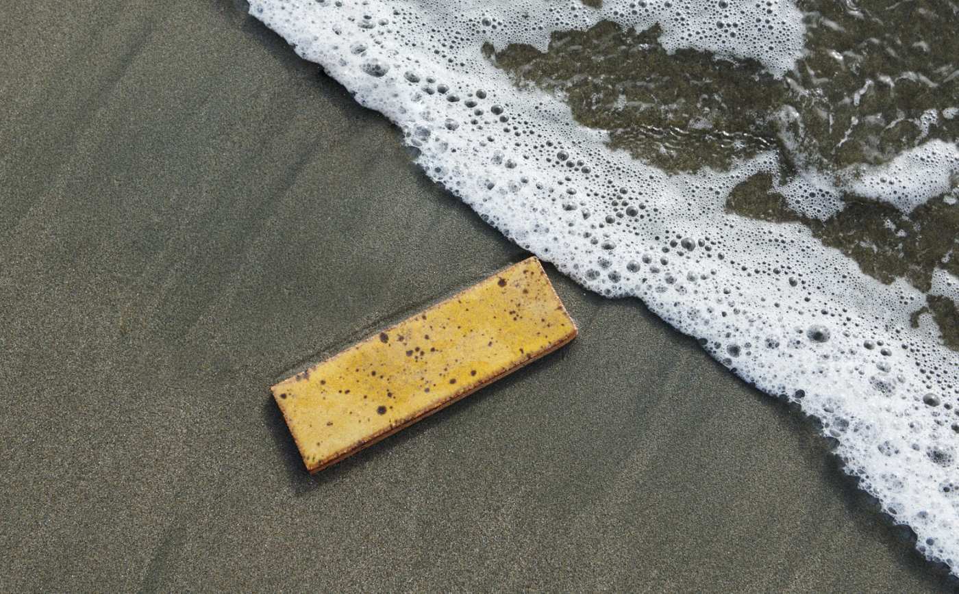 a yellow spotted tiles laying on the beach.