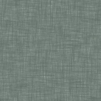 DREAM-81 Curtains