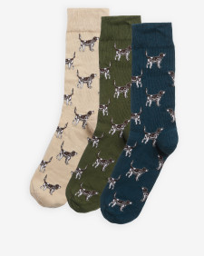 Calzini con cani Pointer in confezione regalo 