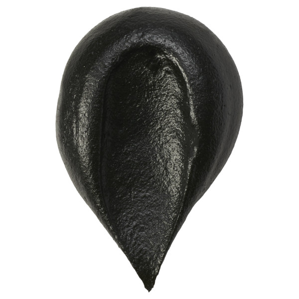 Black Premium Paste Color