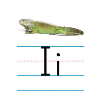 s--3gvJKRgr--/vtdgsvwcvkfmkfihzj7w.jpg