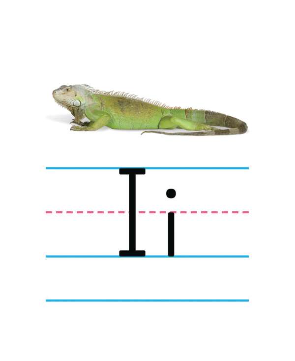 s--3gvJKRgr--/vtdgsvwcvkfmkfihzj7w.jpg