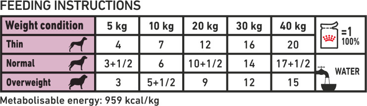 Feeding Guide