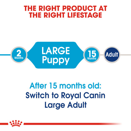 Large Puppy Dry Dog Food