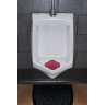 Hillyard, Wave 3D Urinal Screen, Spiced Apple