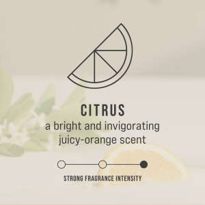 TEC402113, Rubbermaid Commercial, CirculAir 90, Air Freshener, Citrus