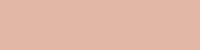 Baseline Peach 4×16 Field Tile Glossy