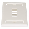 NetKey® 1-Gang, Flush Mount Vertical Faceplate, 2-Port, Includes Label and label Covers. Off White