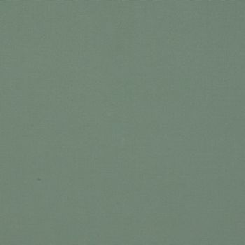 Matte muted green wall with fine, even texture occupying the entire frame, appearing uniformly lit and smooth, suggesting a softly lit interior surface or fabric backdrop.