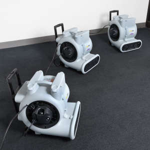 ProTeam, ProBlitz™ XP w/ Telescoping Handle and Daisy Chain, 3 Speed Air Mover