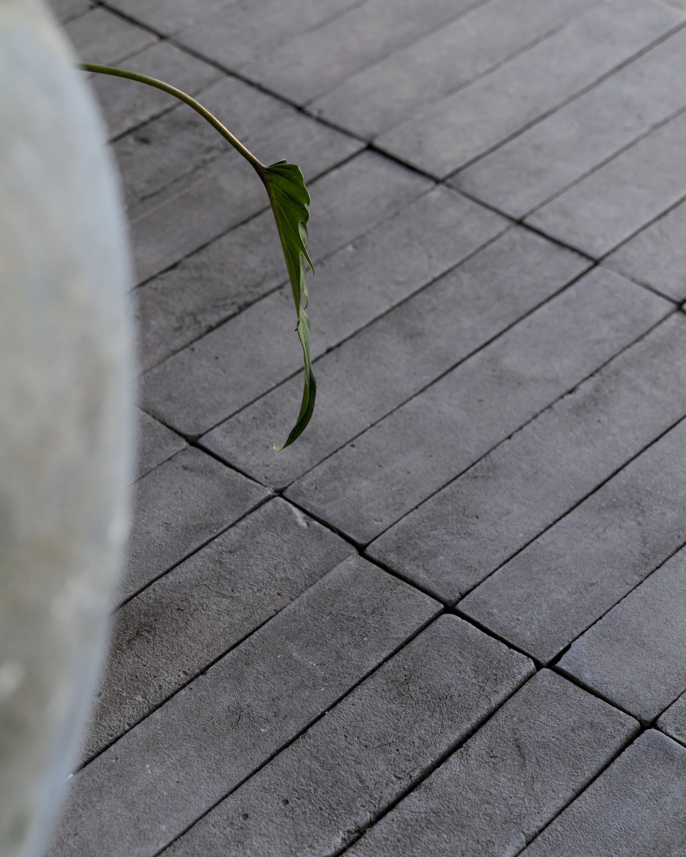 a plant in a vase on a black tiled floor.